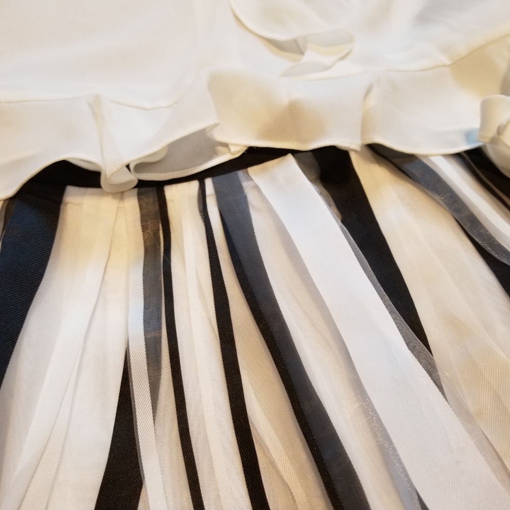 Ryu Elegant Black & Ivory Striped Skirt - Picture 7 of 7